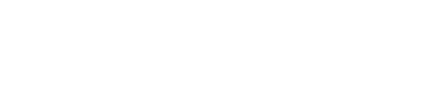 NM Watermark